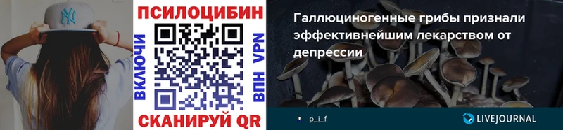 Псилоцибиновые грибы Psilocybine cubensis  кракен ссылки  Сыктывкар 